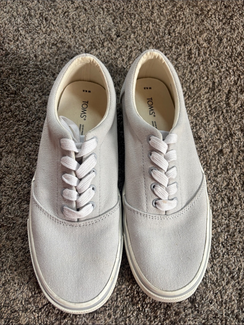 Toms Canvas Sneakers in Light Gray and White Trim